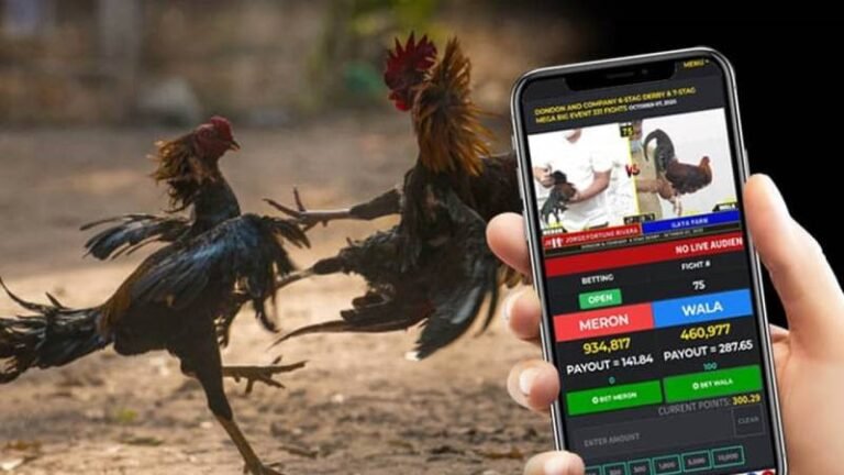 Phân Tích Tỷ Lệ Kèo Đá Gà Chọi - Đọc Kèo Chuẩn, Bắt Tiền Chắc